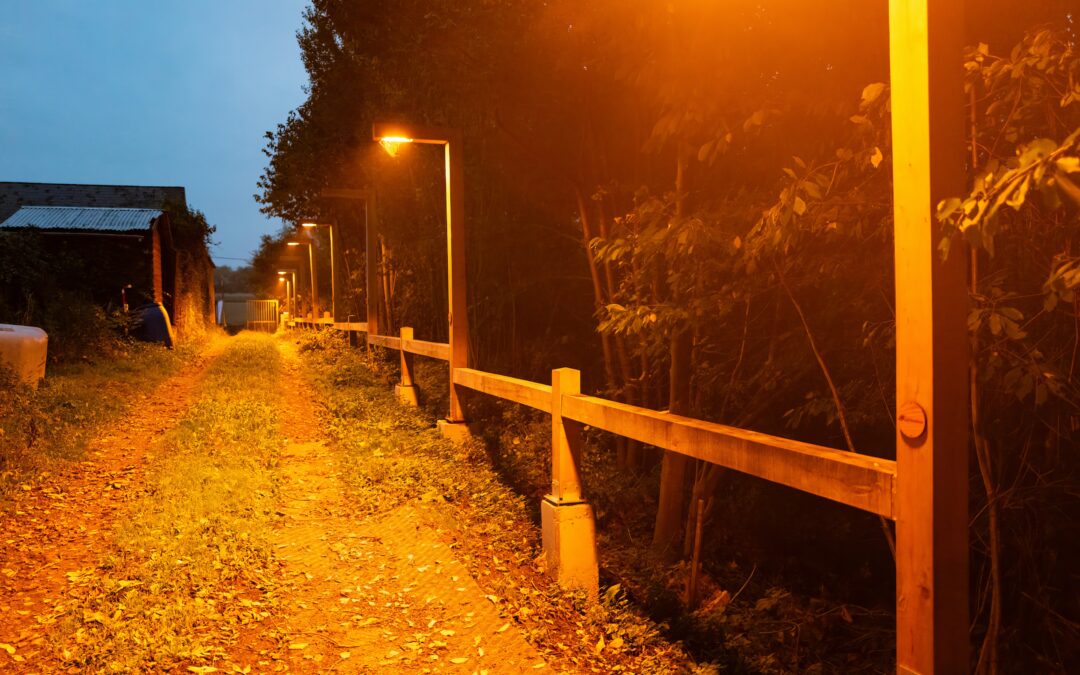 Provincie en Natuurpunt doven de lichten tijdens Nacht van de Duisternis