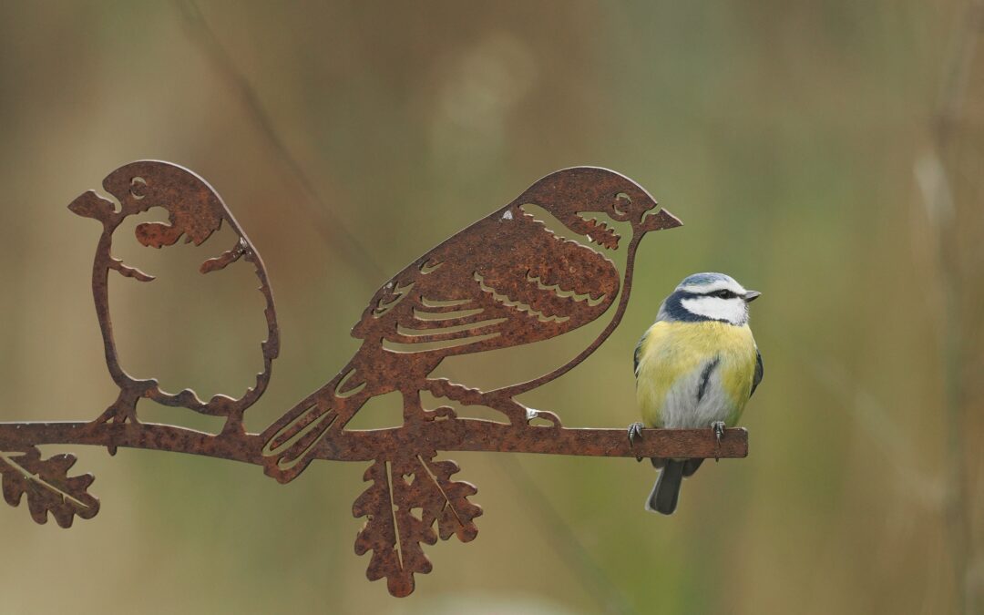 Vogeltelweekenden