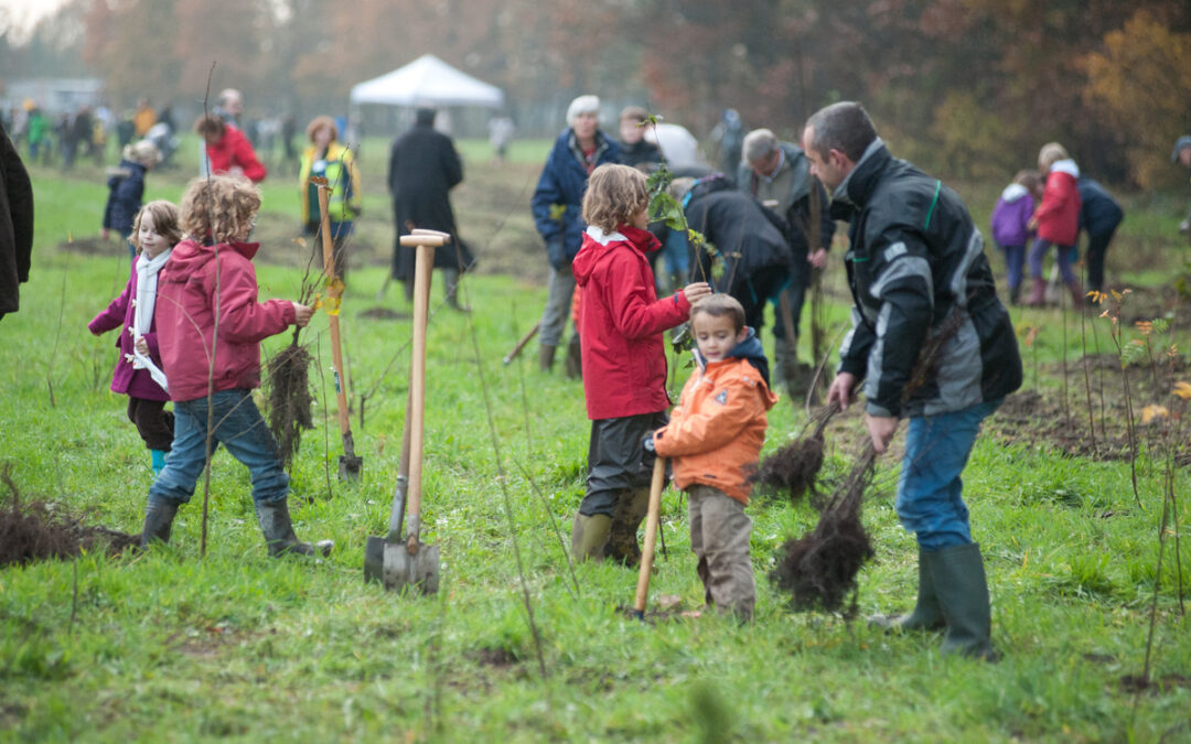 Kom mee bomen planten in het natuurgebied het Burreken!