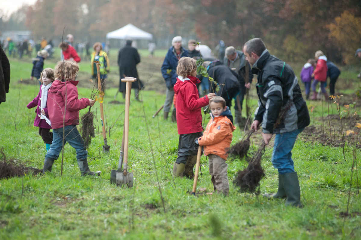Kom mee bomen planten in het natuurgebied het Burreken!