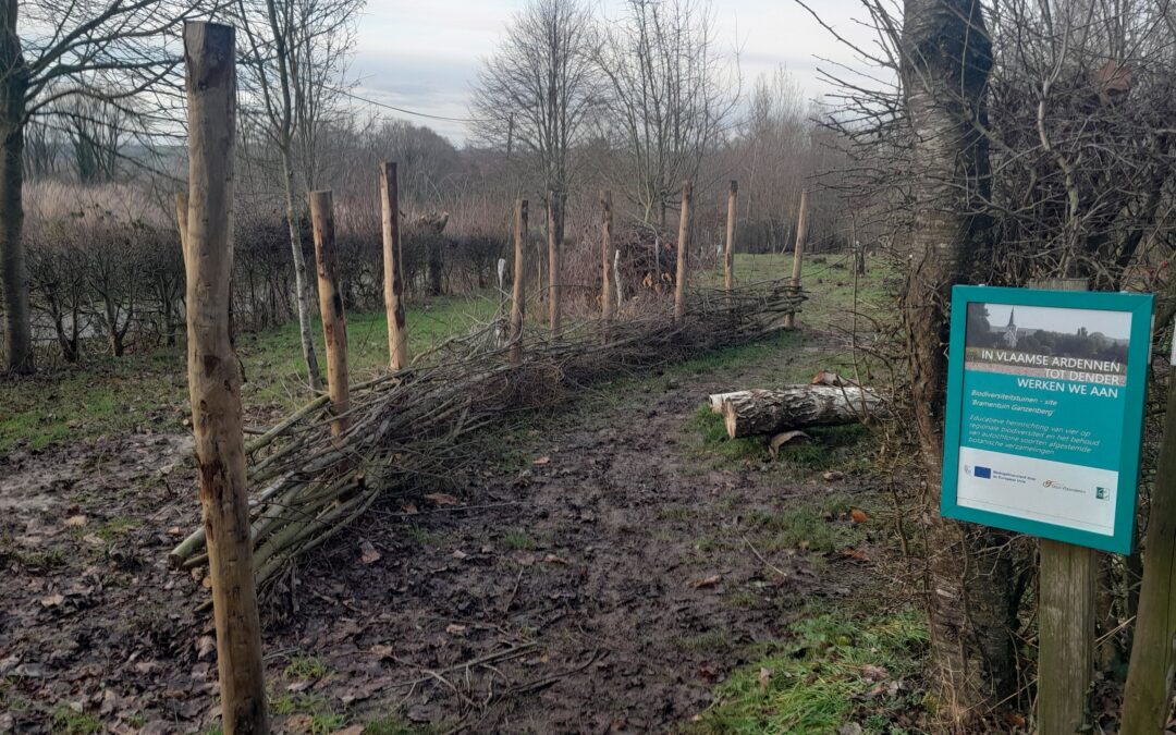 Bramentuin in Schorisse heringericht