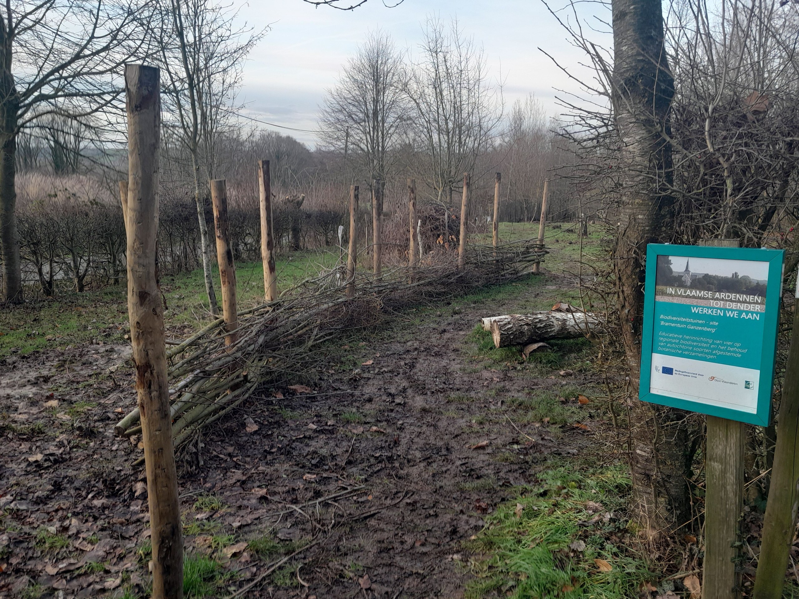 Bramentuin in Schorisse heringericht